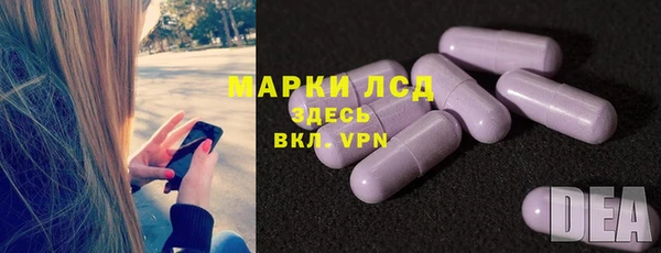 ГАЛЛЮЦИНОГЕННЫЕ ГРИБЫ Алзамай