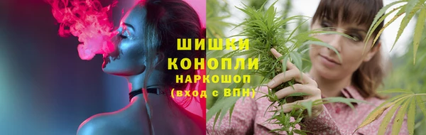ГАЛЛЮЦИНОГЕННЫЕ ГРИБЫ Алзамай
