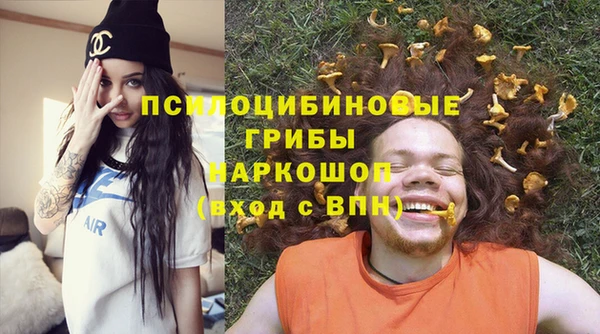 МДПВ Алексин